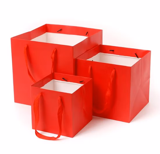Sac de papier de cadeau de luxe de sac de cadeau de papier d'achats de bijoux imprimés par coutume avec le bronzage de logo